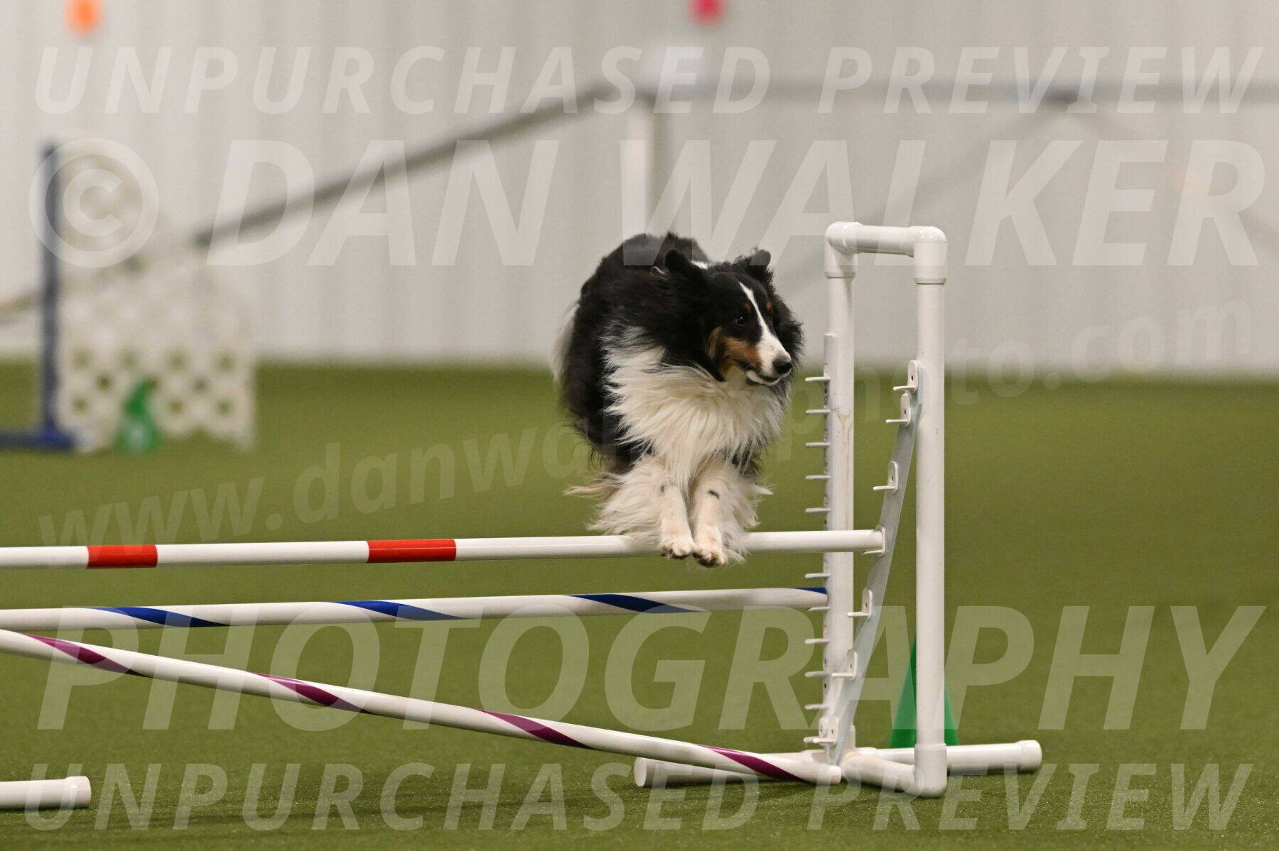 Cleo-Barb-Schmauder-00653