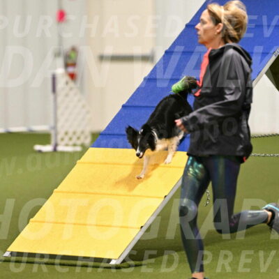 Clover-Jennifer-Masterson-12413