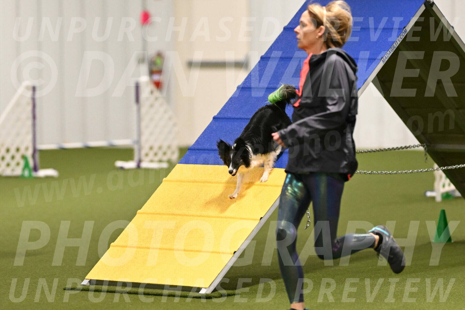 Clover-Jennifer-Masterson-12413