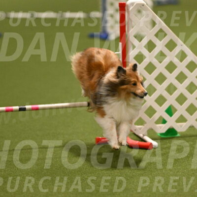 Coby-Linda-Ruse-05744