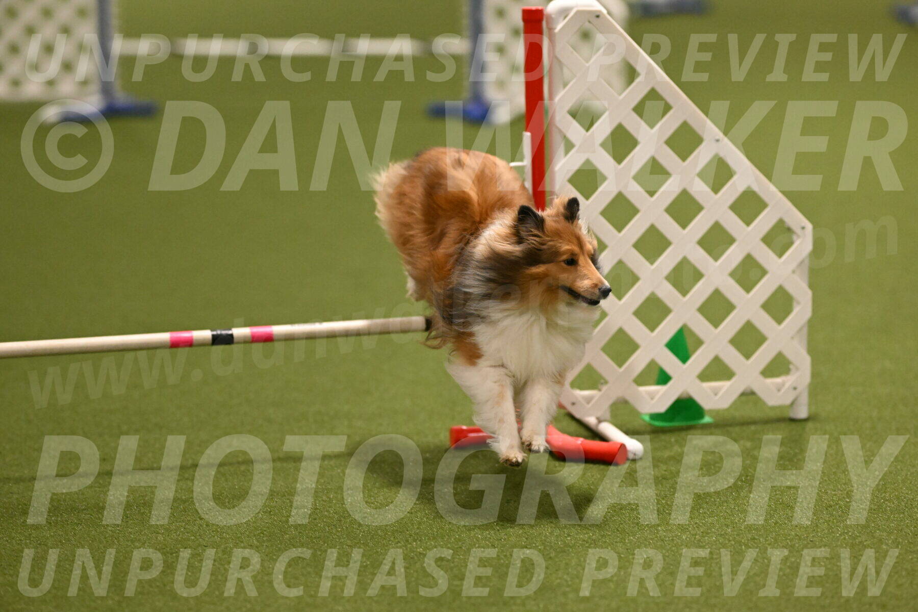 Coby-Linda-Ruse-05744