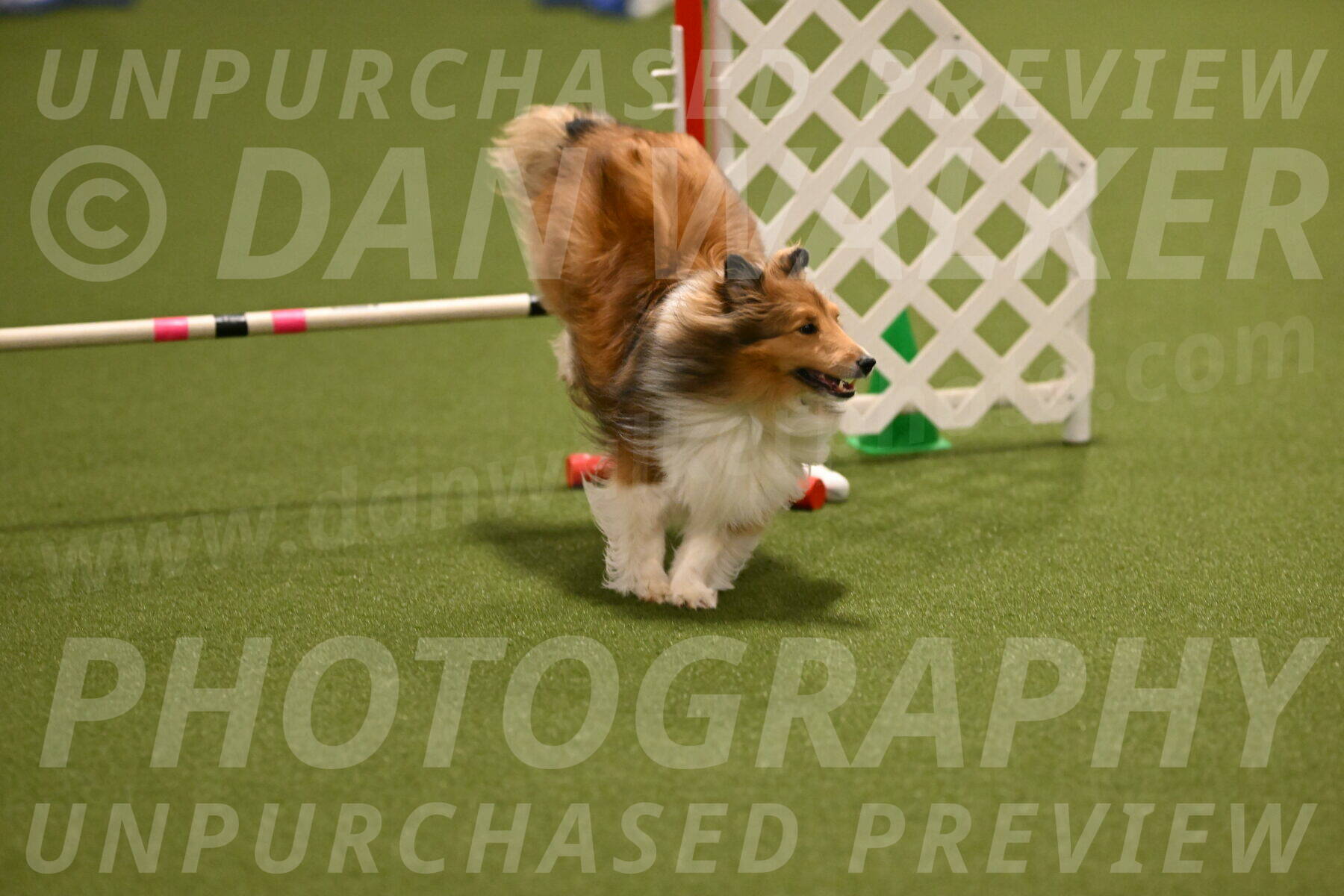 Coby-Linda-Ruse-05745