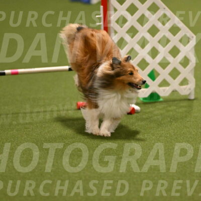 Coby-Linda-Ruse-05745