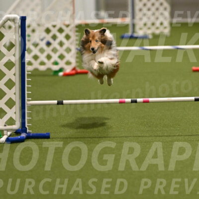 Coby-Linda-Ruse-05750