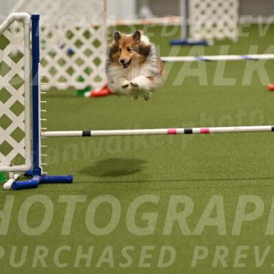 Coby-Linda-Ruse-05751