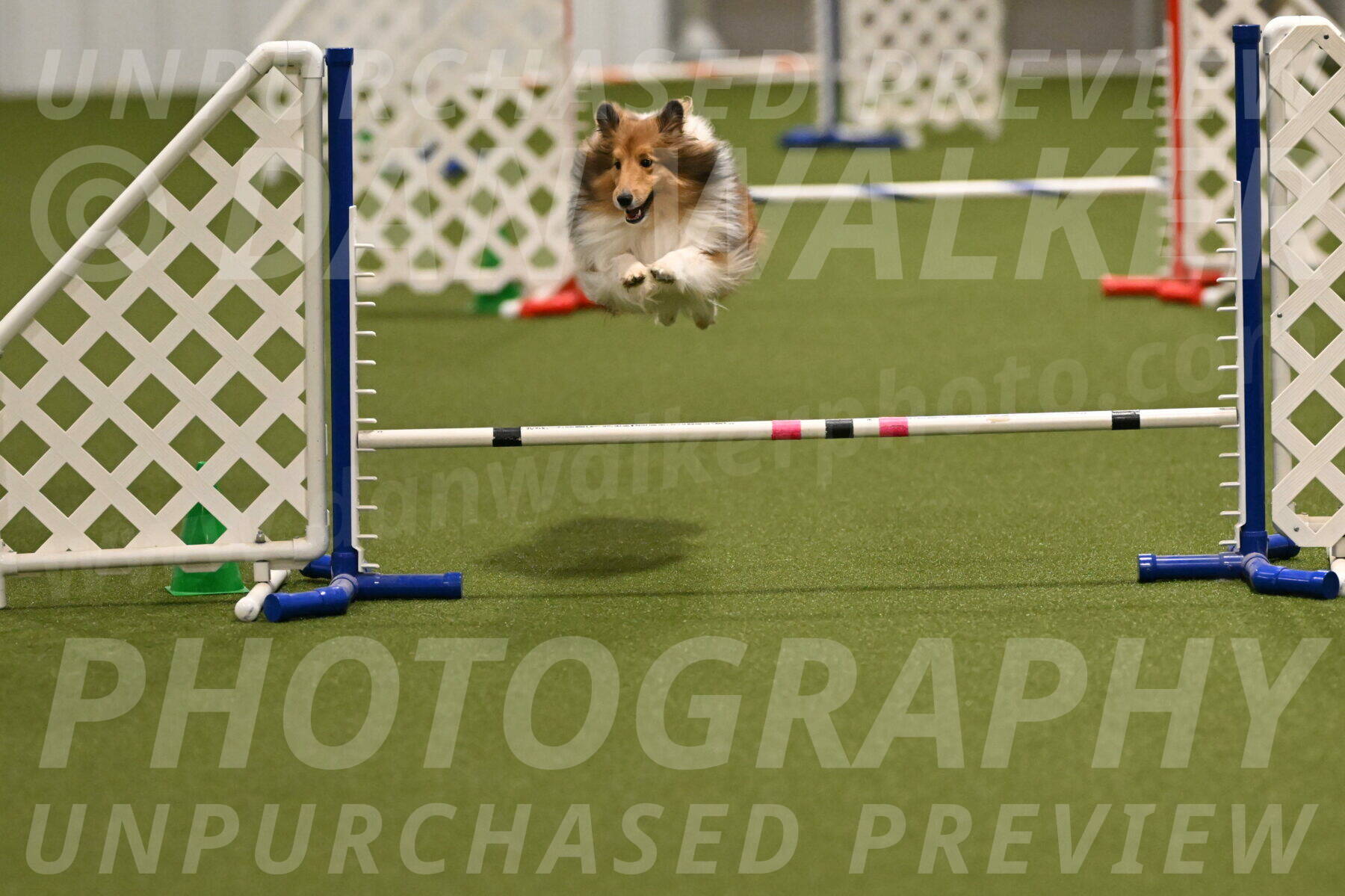 Coby-Linda-Ruse-05751