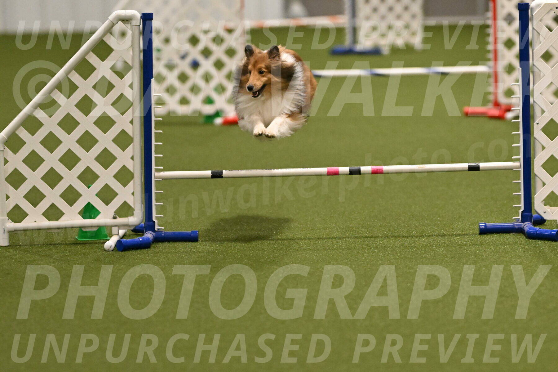 Coby-Linda-Ruse-05752