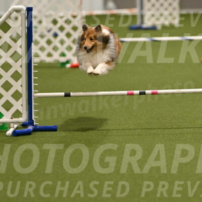 Coby-Linda-Ruse-05752