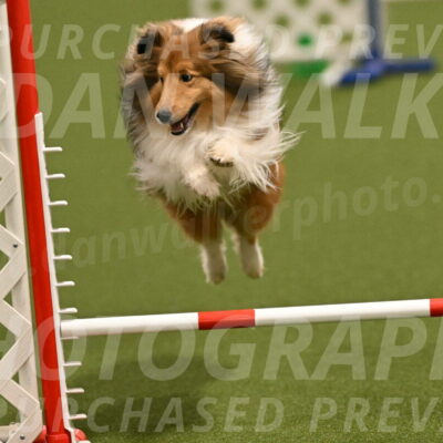 Coby-Linda-Ruse-05753