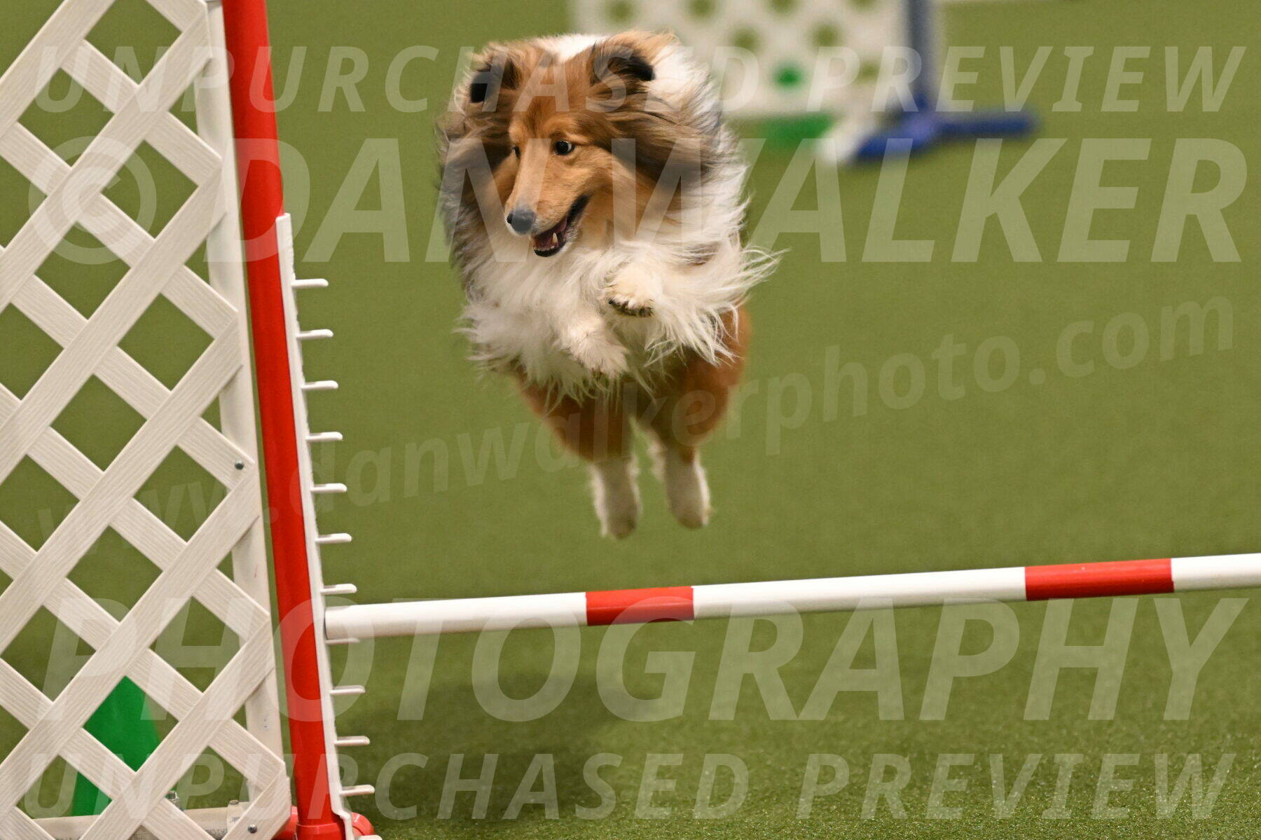 Coby-Linda-Ruse-05753