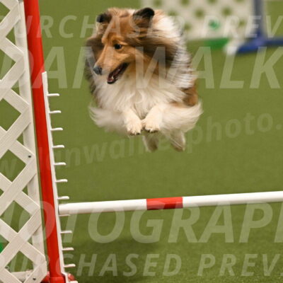 Coby-Linda-Ruse-05754