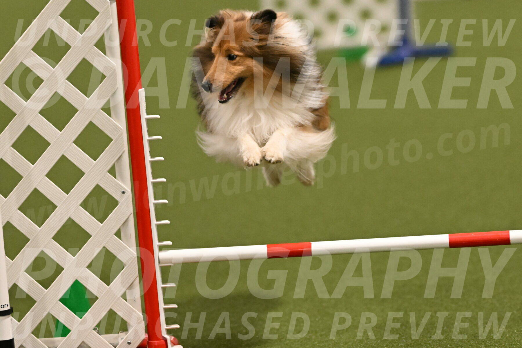 Coby-Linda-Ruse-05754