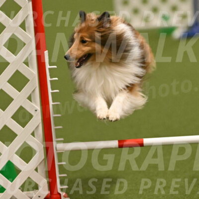 Coby-Linda-Ruse-05755