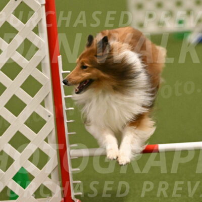 Coby-Linda-Ruse-05756