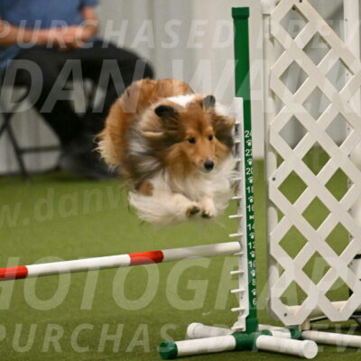 Coby-Linda-Ruse-05758