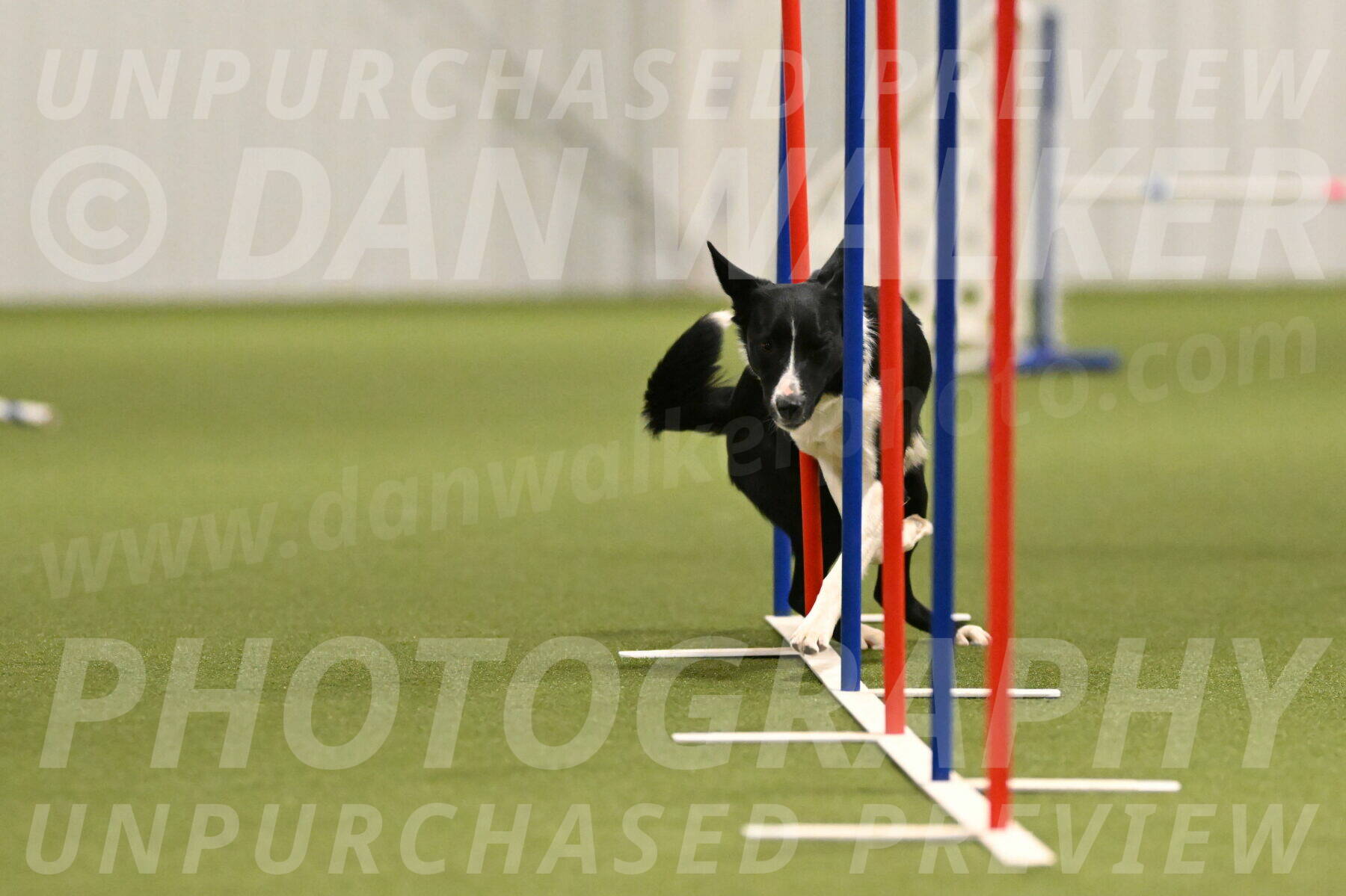 Cruze-Helene-Weber-08133