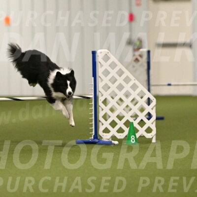 Cyrus-Kirra-Yanchilk-02272