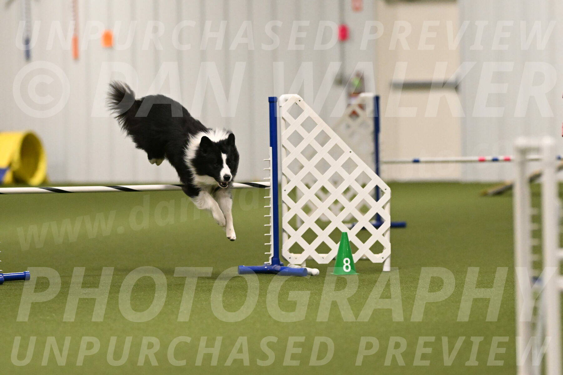 Cyrus-Kirra-Yanchilk-02272