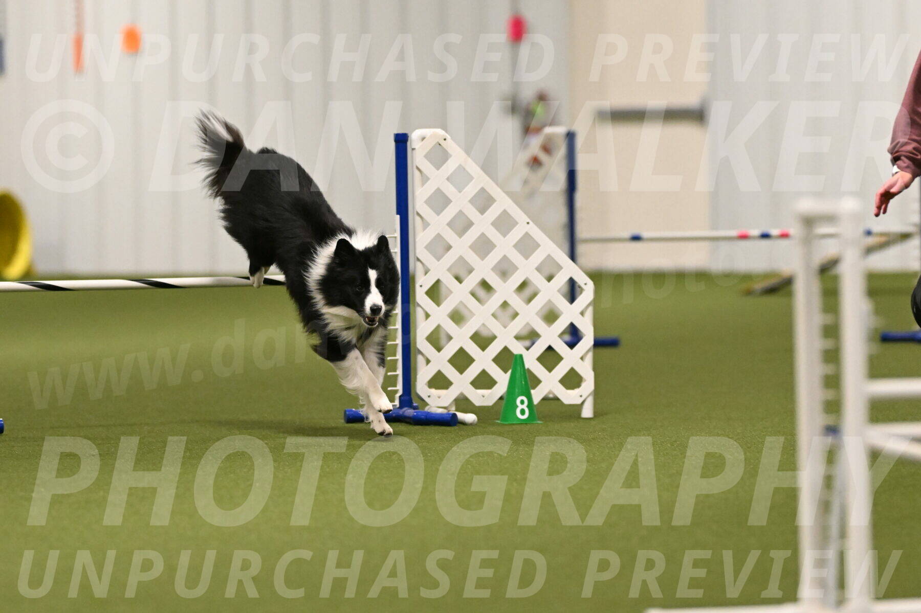 Cyrus-Kirra-Yanchilk-02273