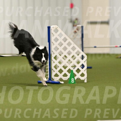 Cyrus-Kirra-Yanchilk-02273