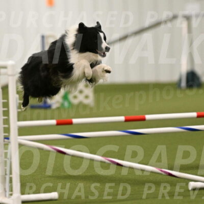 Cyrus-Kirra-Yanchilk-02274