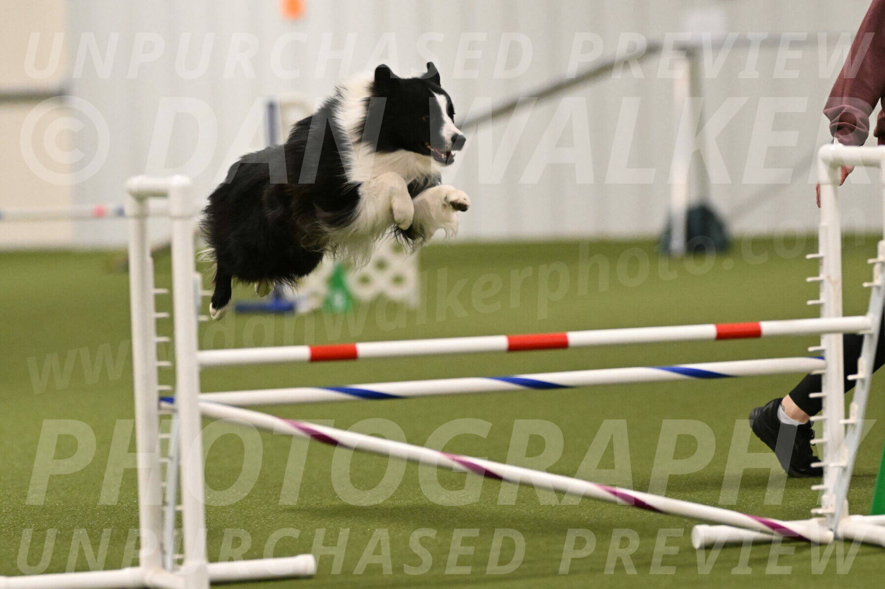 Cyrus-Kirra-Yanchilk-02274