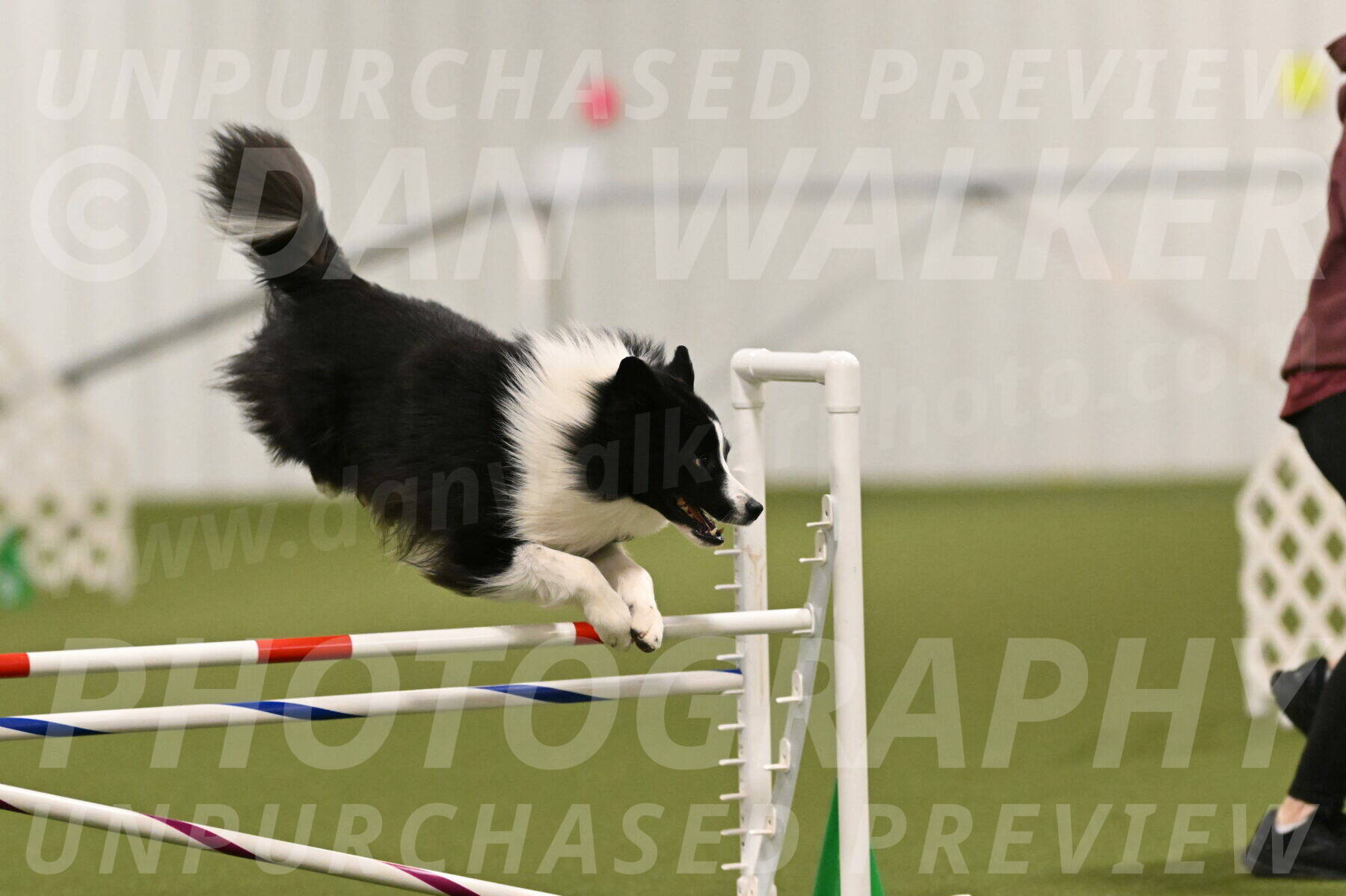 Cyrus-Kirra-Yanchilk-02275