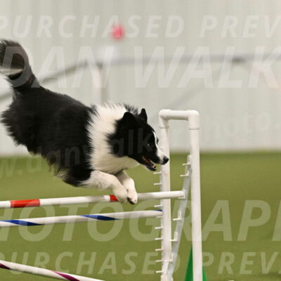 Cyrus-Kirra-Yanchilk-02275