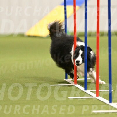 Cyrus-Kirra-Yanchilk-02276