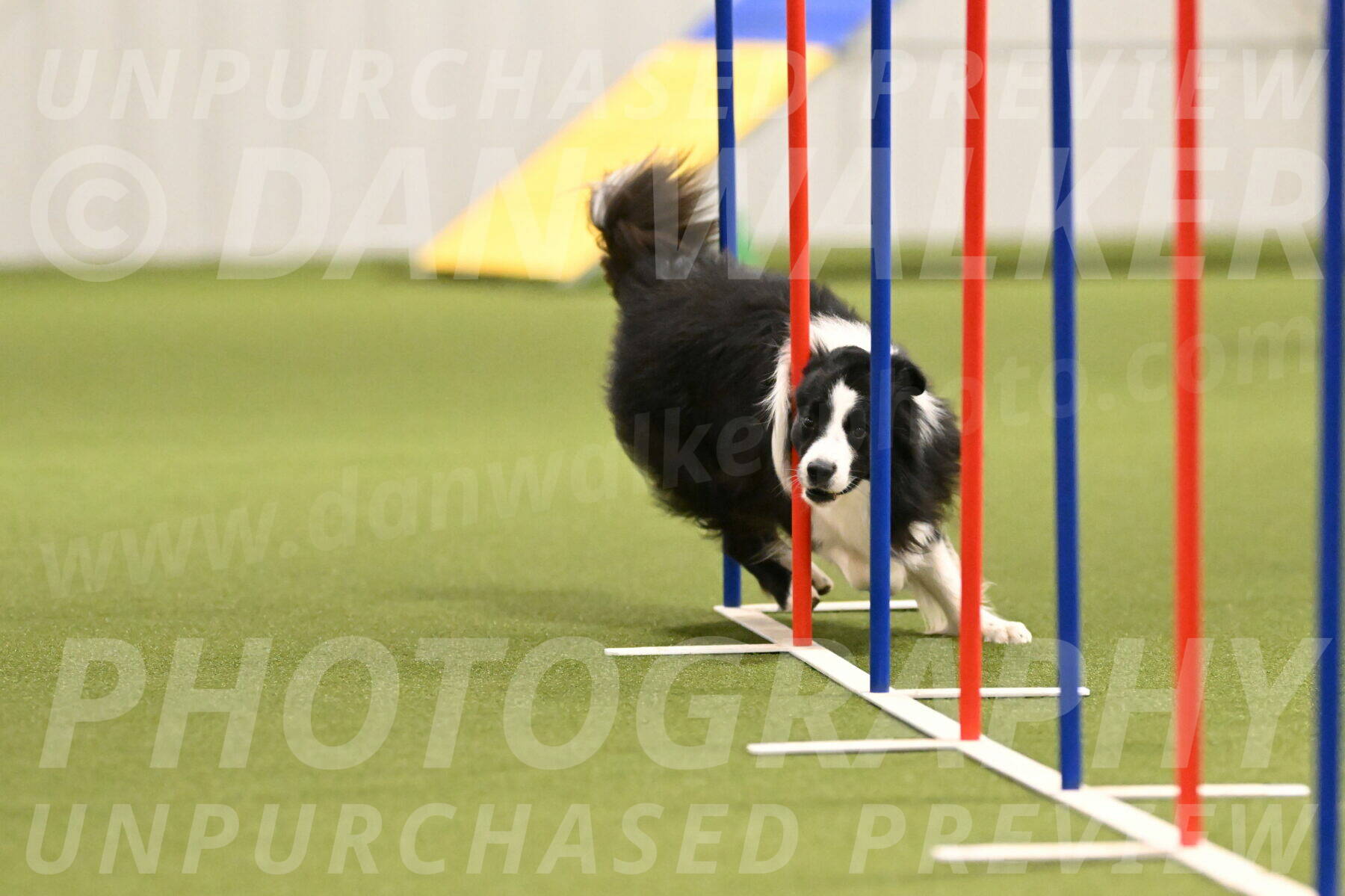 Cyrus-Kirra-Yanchilk-02276