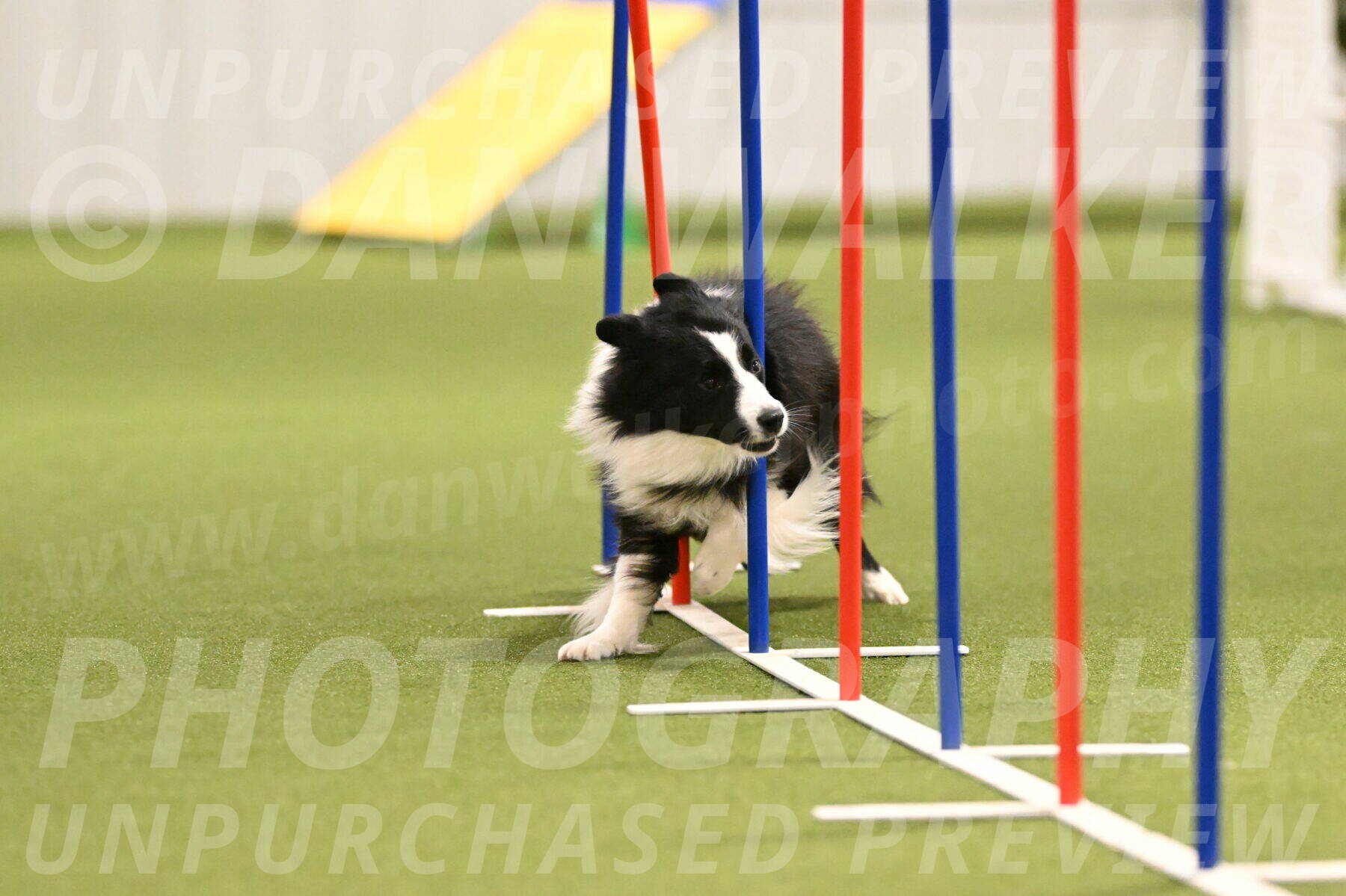 Cyrus-Kirra-Yanchilk-02277