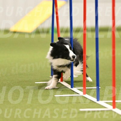 Cyrus-Kirra-Yanchilk-02277