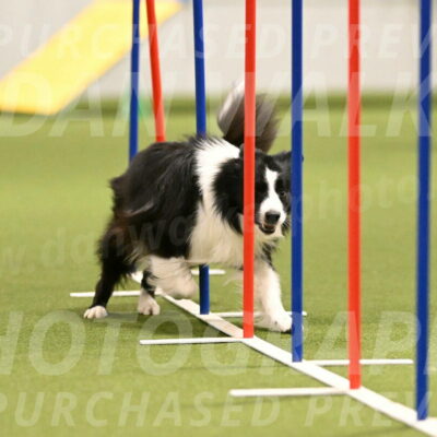 Cyrus-Kirra-Yanchilk-02278