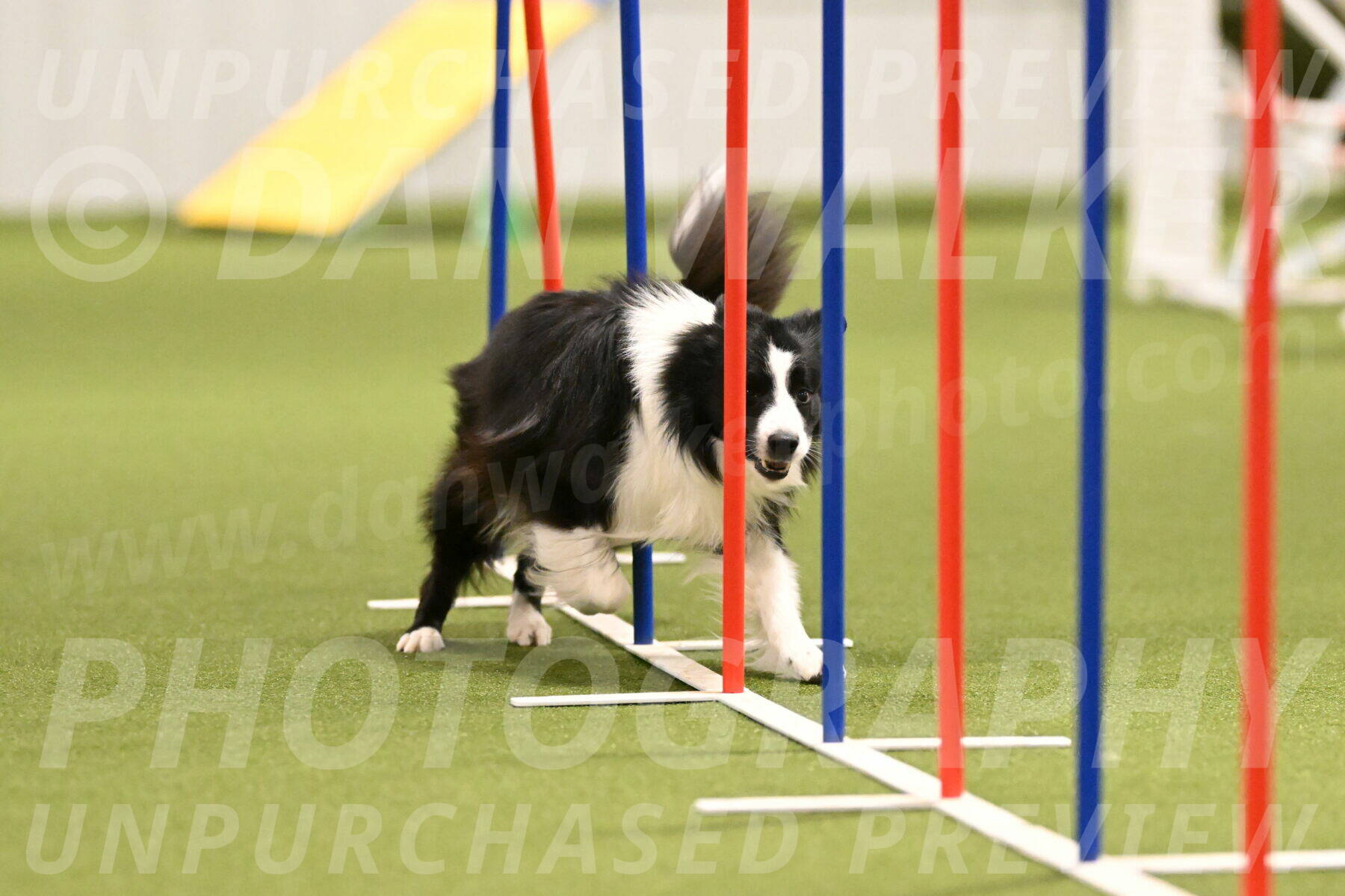 Cyrus-Kirra-Yanchilk-02278