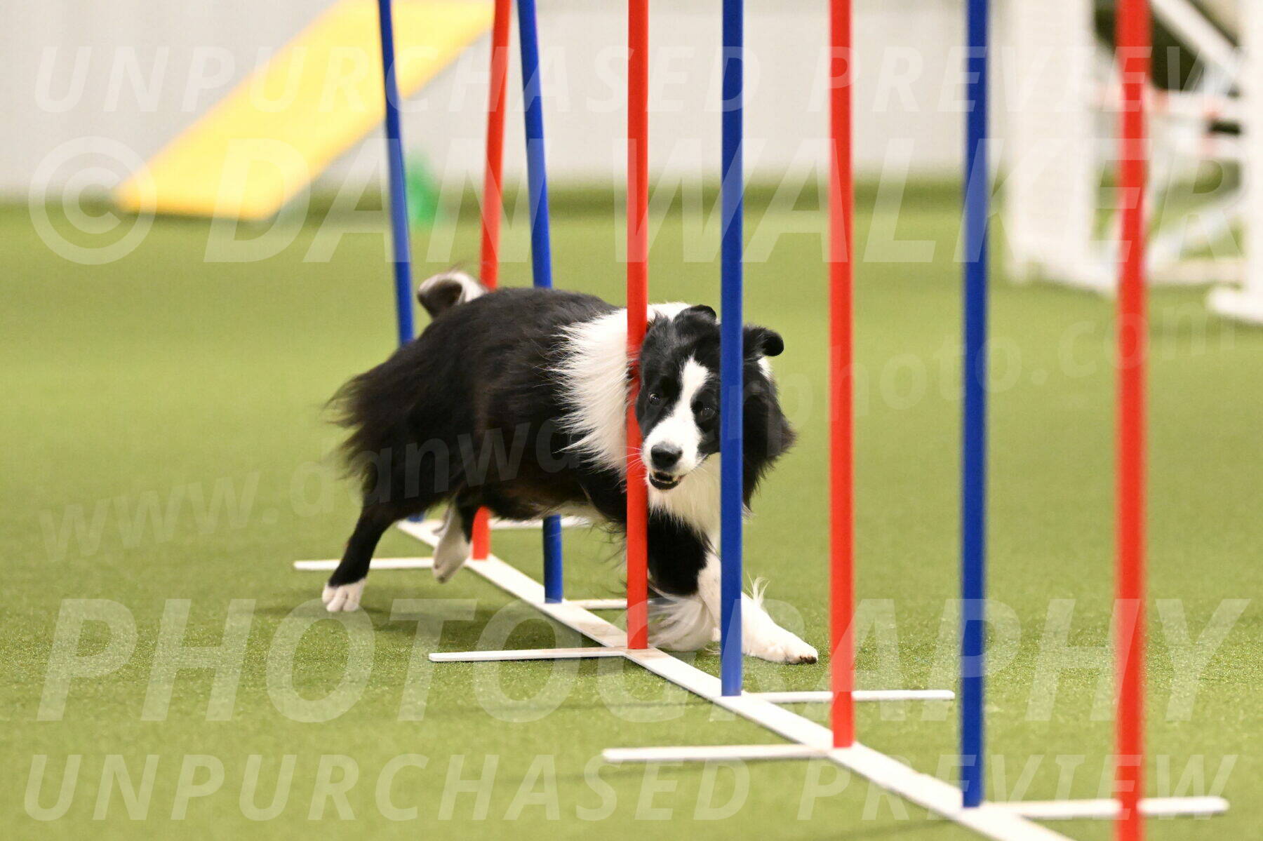 Cyrus-Kirra-Yanchilk-02279