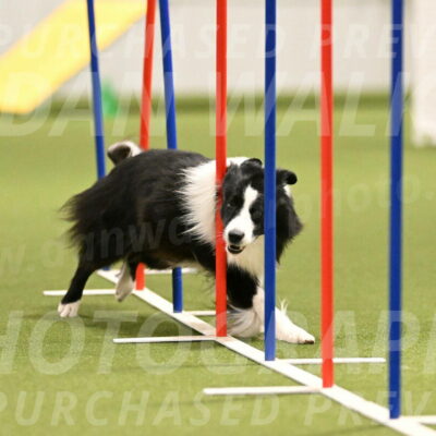 Cyrus-Kirra-Yanchilk-02279