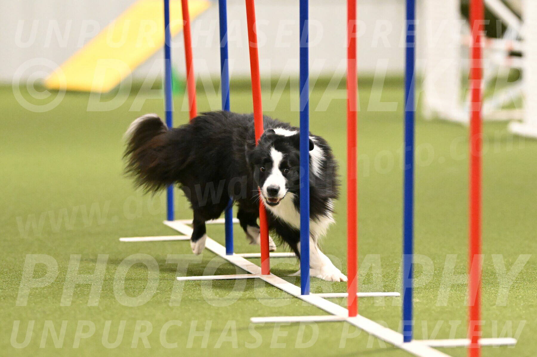 Cyrus-Kirra-Yanchilk-02280