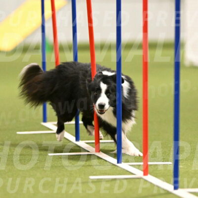 Cyrus-Kirra-Yanchilk-02280