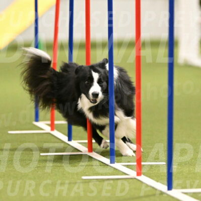 Cyrus-Kirra-Yanchilk-02281