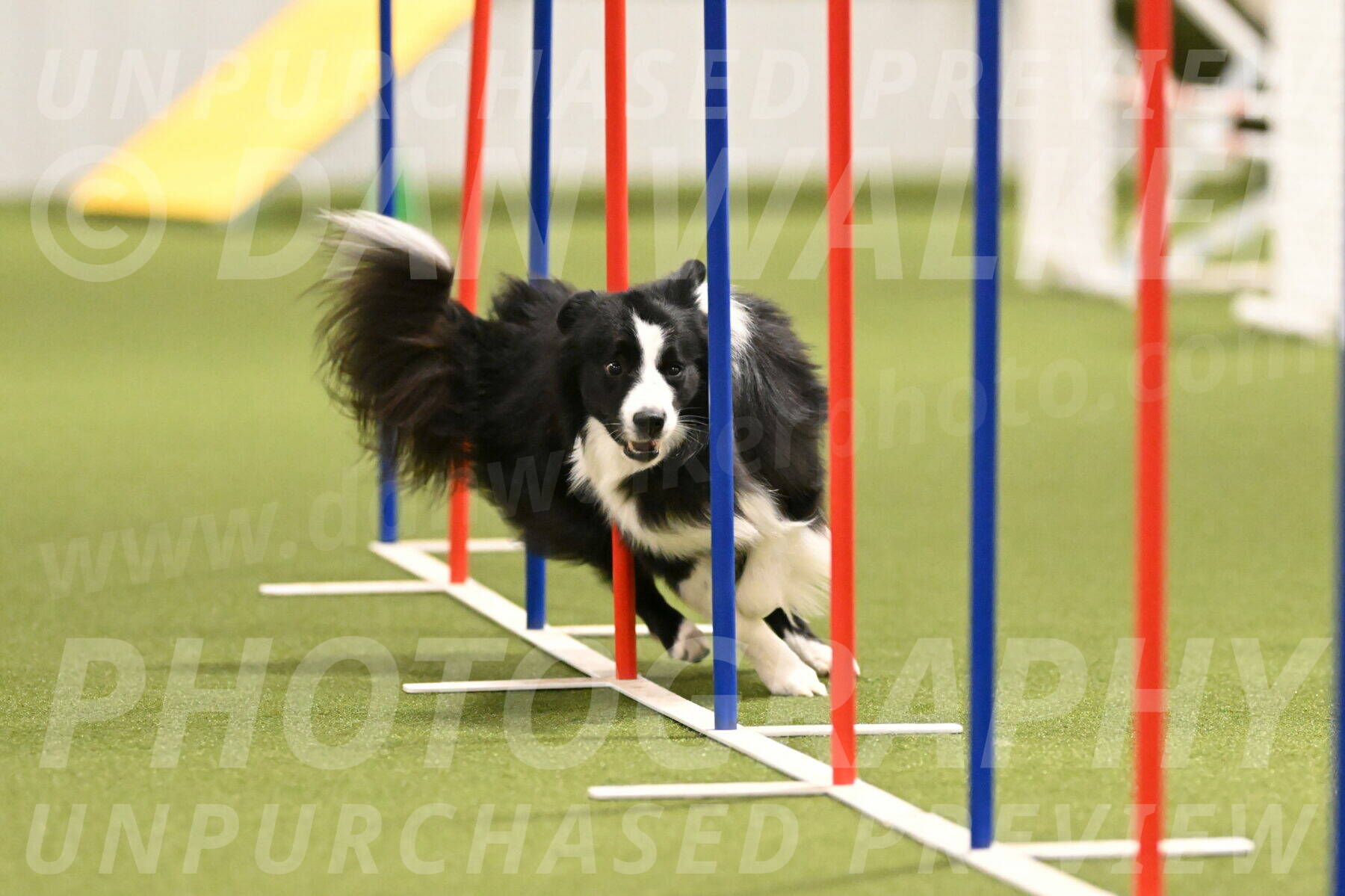 Cyrus-Kirra-Yanchilk-02281