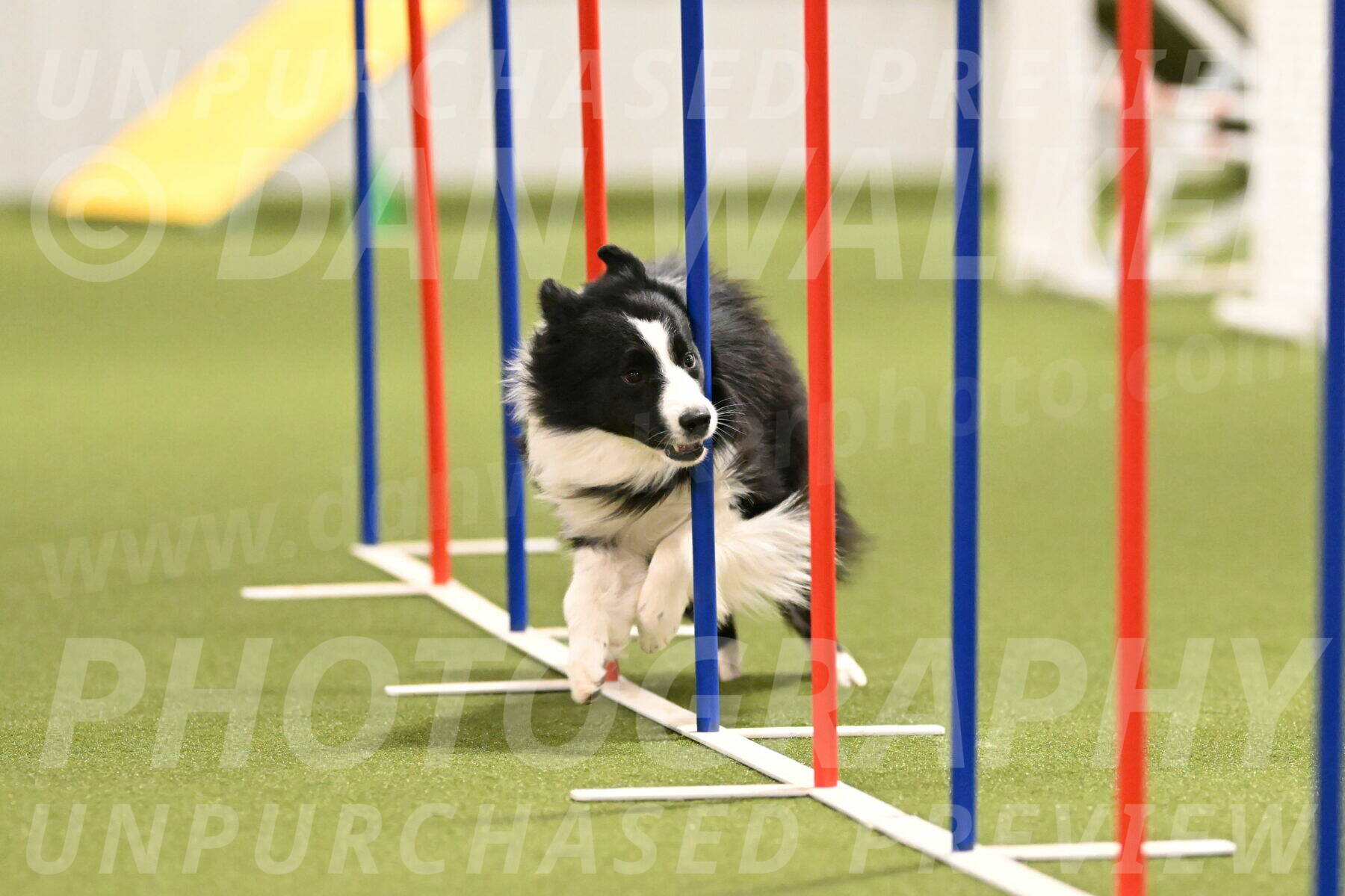 Cyrus-Kirra-Yanchilk-02282