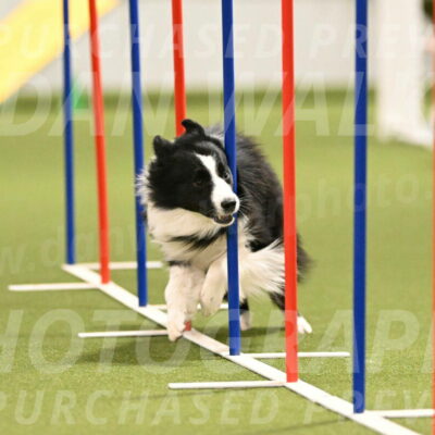 Cyrus-Kirra-Yanchilk-02282