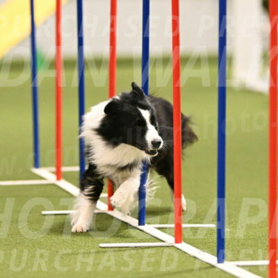 Cyrus-Kirra-Yanchilk-02283