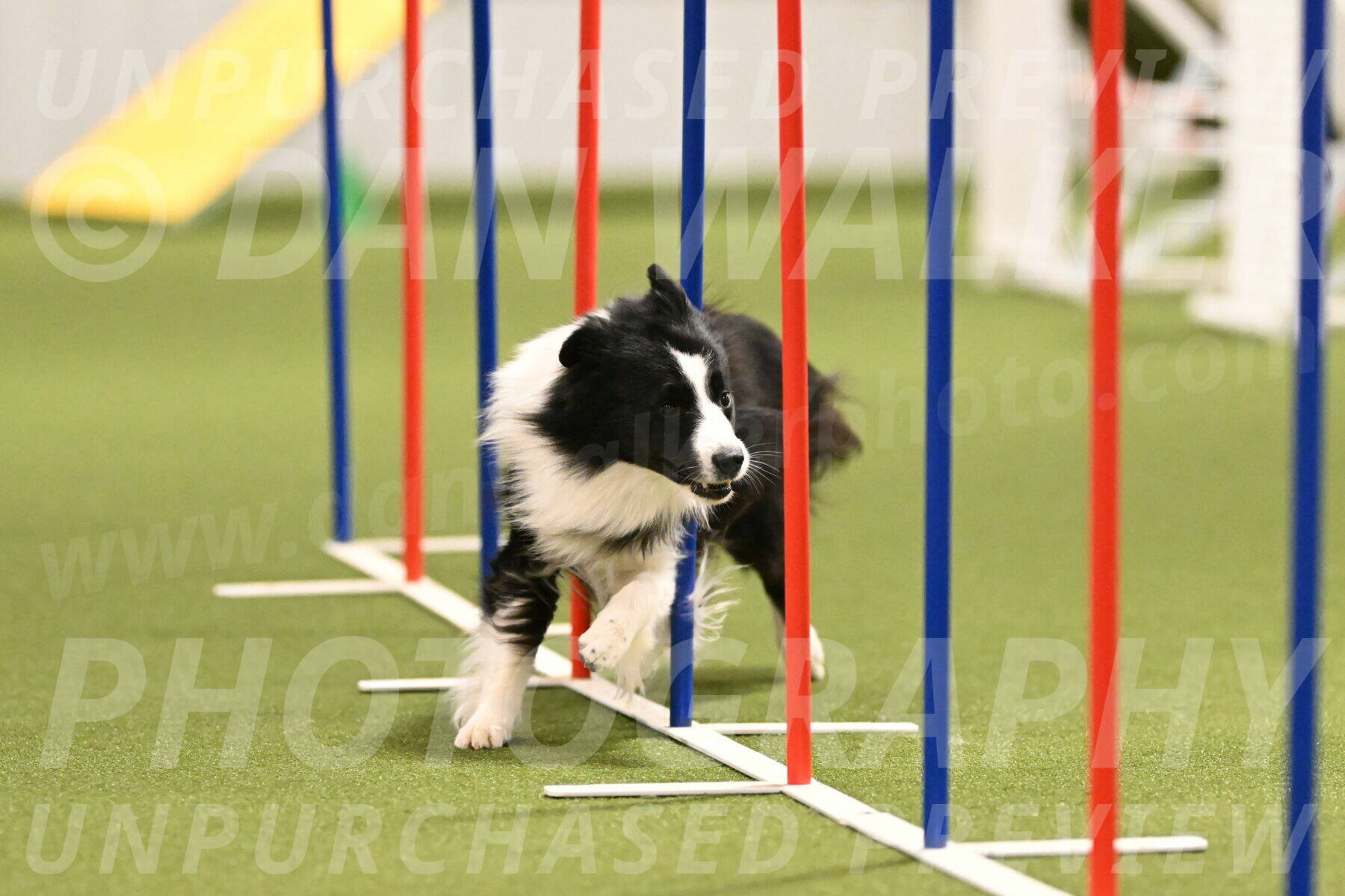 Cyrus-Kirra-Yanchilk-02283