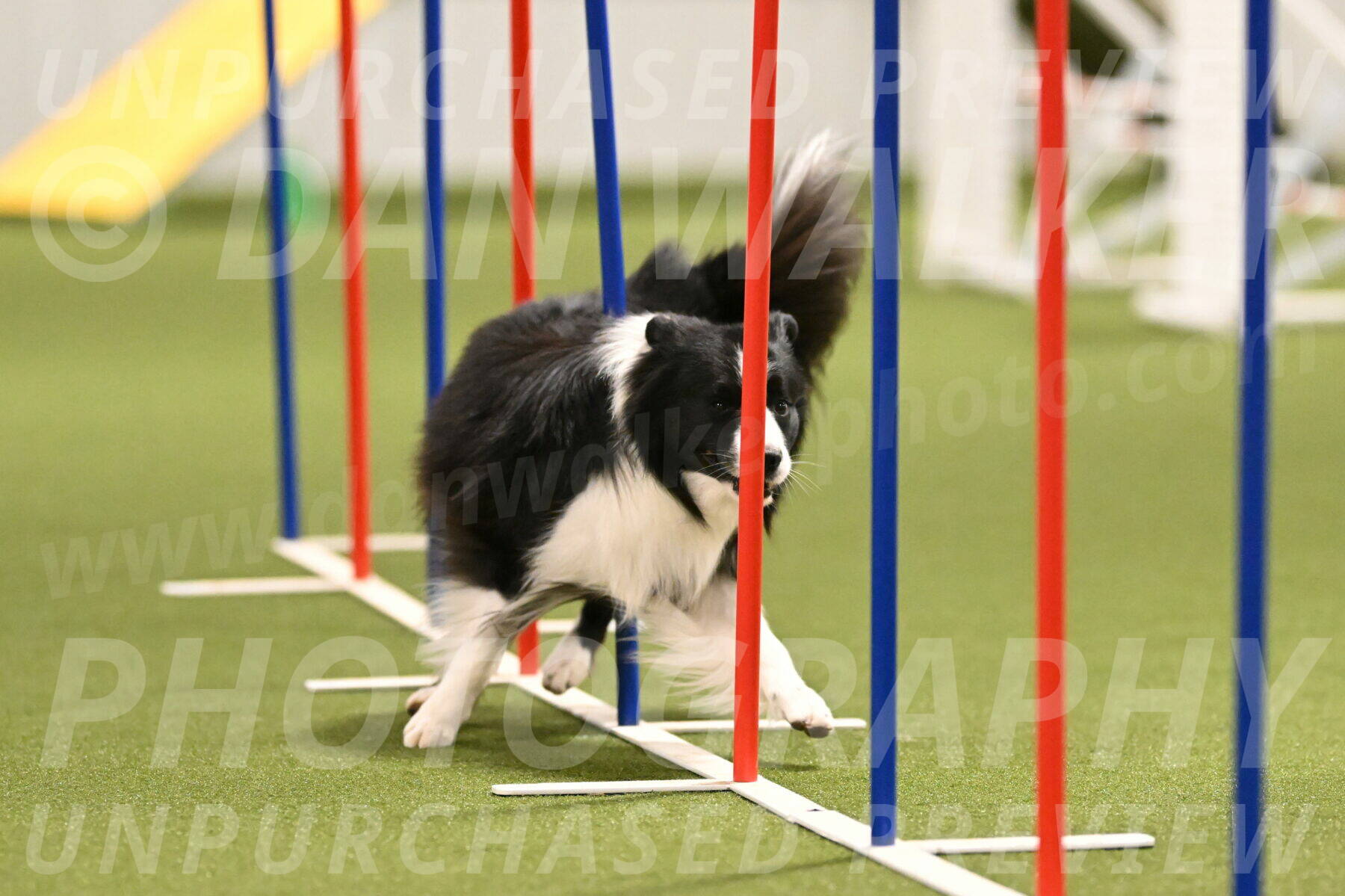 Cyrus-Kirra-Yanchilk-02284