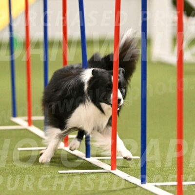 Cyrus-Kirra-Yanchilk-02284