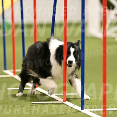 Cyrus-Kirra-Yanchilk-02285