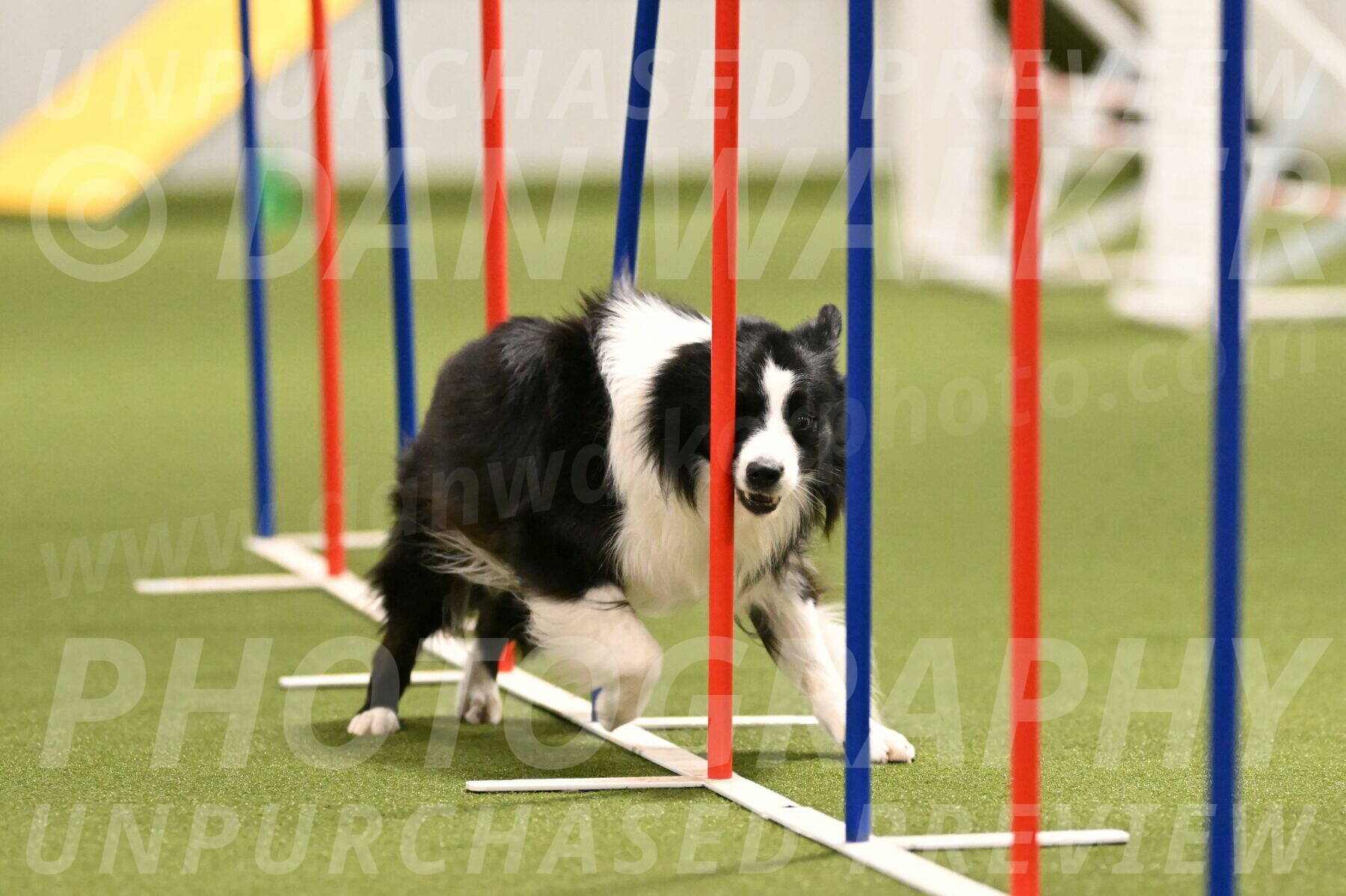 Cyrus-Kirra-Yanchilk-02285