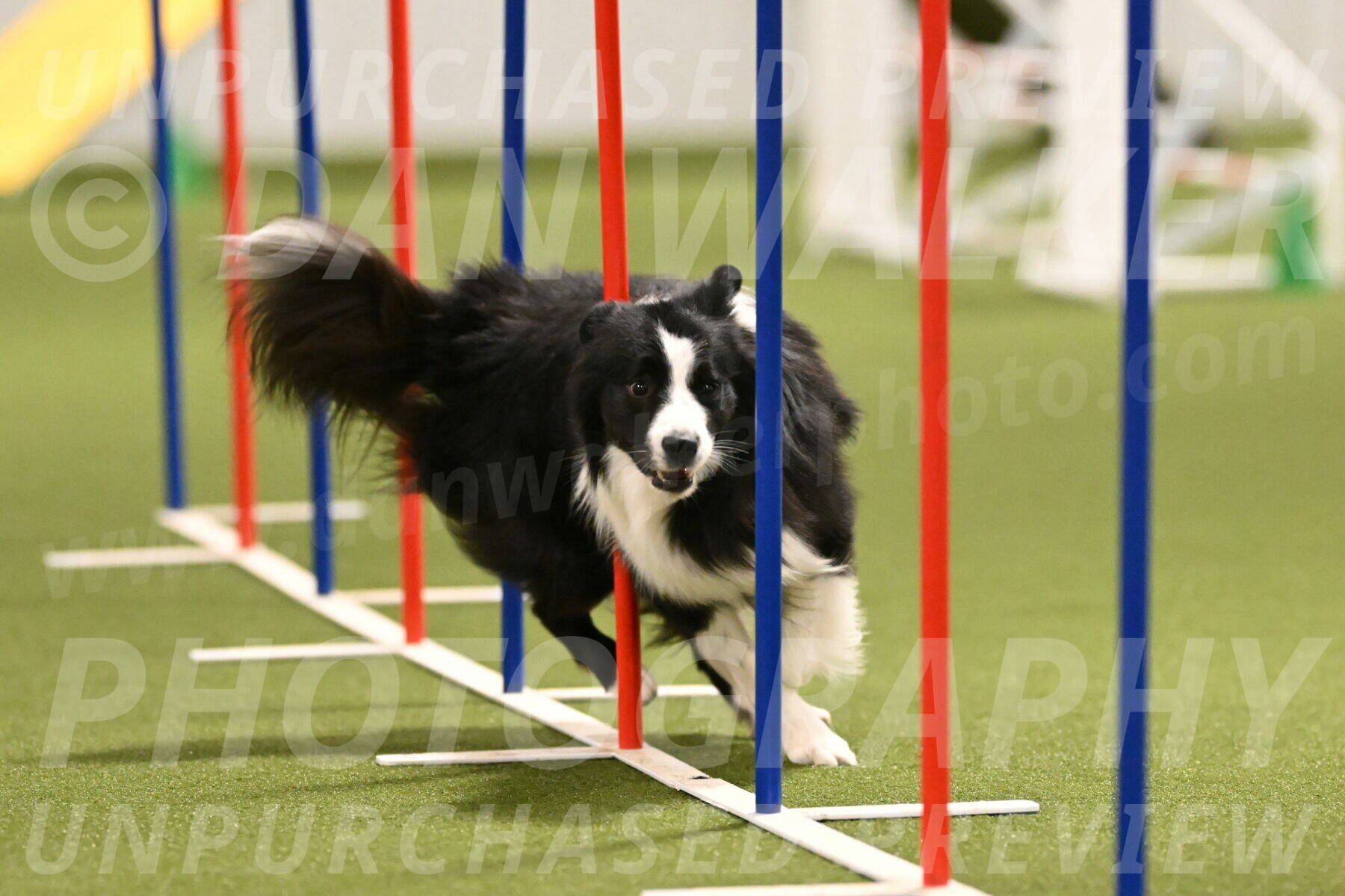 Cyrus-Kirra-Yanchilk-02286