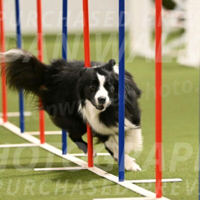 Cyrus-Kirra-Yanchilk-02286